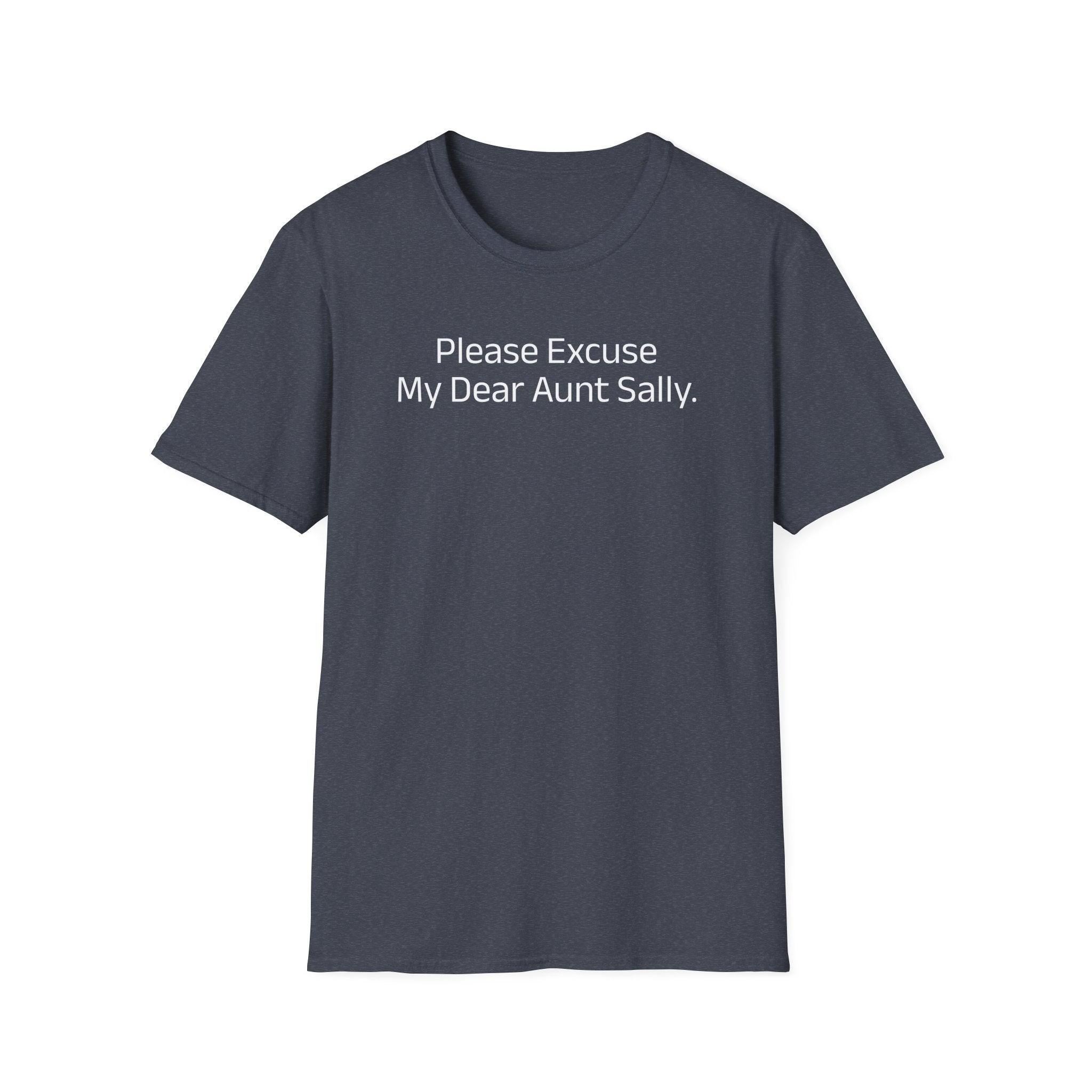 'Please Excuse My Dear Aunt Sally' T-Shirt | Mathematical Order of Operations Humor Tee - Deez Teez