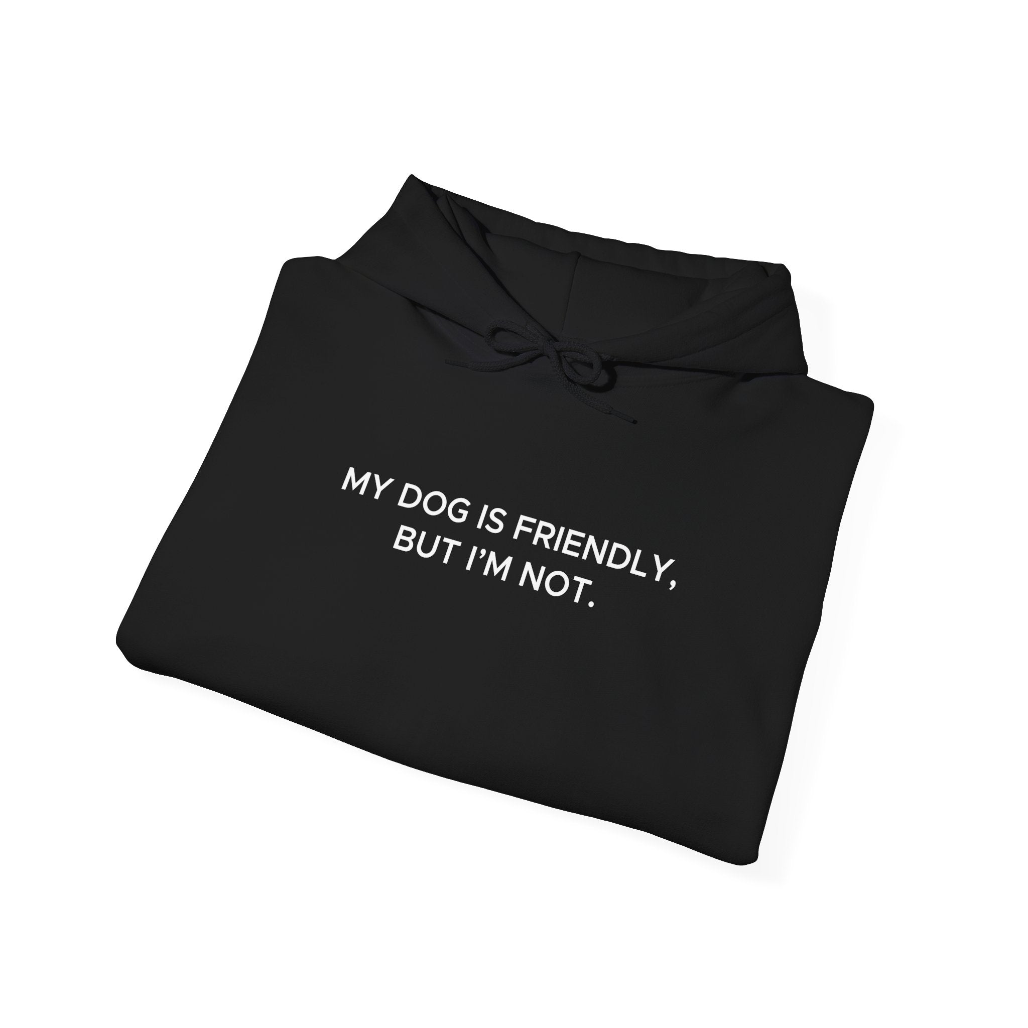 'My Dog Is Friendly, But I'm Not' Hoodie | Funny Dog Owner Warning Sweatshirt - Deez Teez
