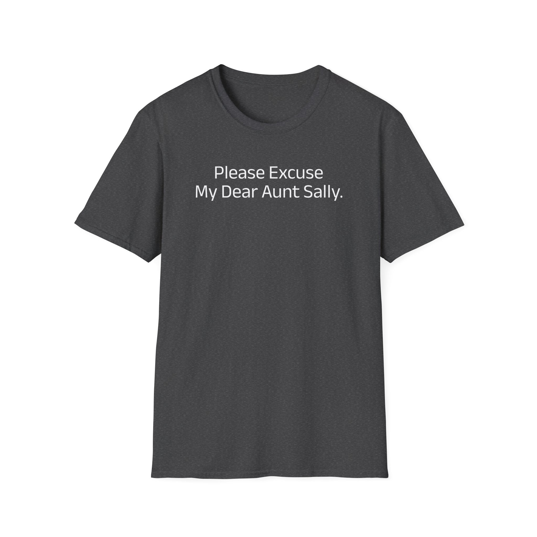 'Please Excuse My Dear Aunt Sally' T-Shirt | Mathematical Order of Operations Humor Tee - Deez Teez